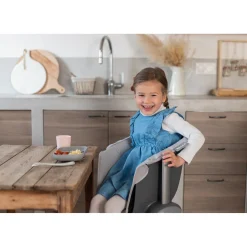 BÉABA Coussin d'assise Junior pour Chaise Haute Up and Down Gris< Chaises Évolutives