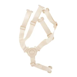 BÉABA Harnais 5-points Evolu - Beige< Autres Pièces Détachées