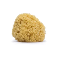 BÉABA Éponge en fibre naturelle< Désinfectants Et Nettoyants